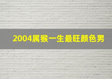 2004属猴一生最旺颜色男