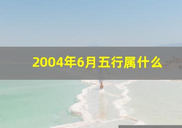 2004年6月五行属什么