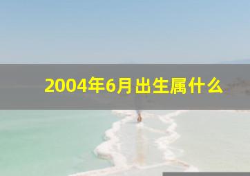 2004年6月出生属什么