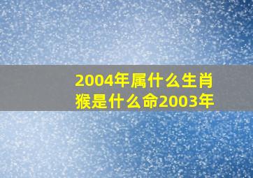 2004年属什么生肖猴是什么命2003年