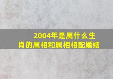 2004年是属什么生肖的属相和属相相配婚姻