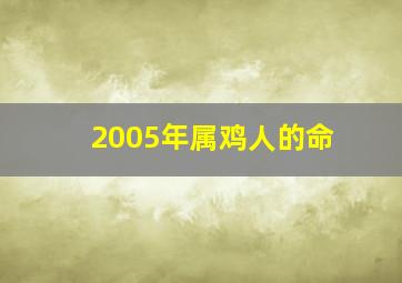 2005年属鸡人的命