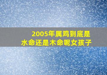 2005年属鸡到底是水命还是木命呢女孩子