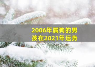 2006年属狗的男孩在2021年运势