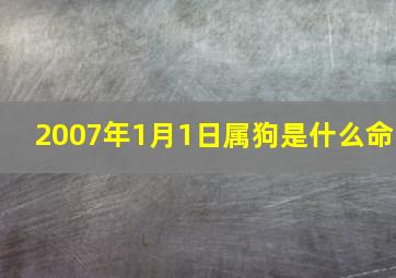 2007年1月1日属狗是什么命