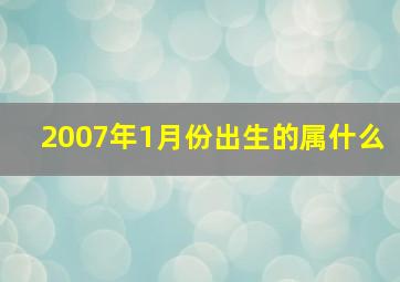 2007年1月份出生的属什么