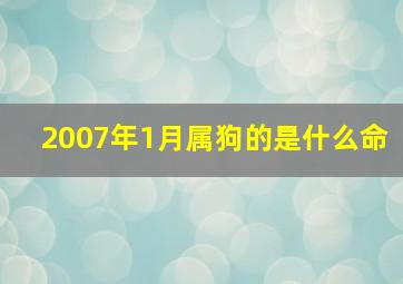 2007年1月属狗的是什么命