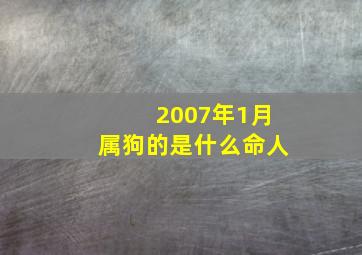 2007年1月属狗的是什么命人