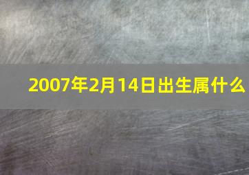 2007年2月14日出生属什么