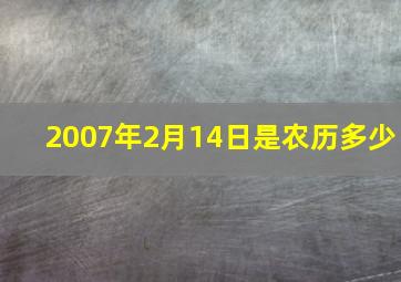 2007年2月14日是农历多少