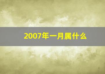 2007年一月属什么