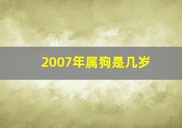 2007年属狗是几岁