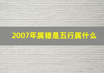 2007年属猪是五行属什么