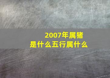 2007年属猪是什么五行属什么