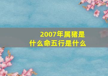 2007年属猪是什么命五行是什么