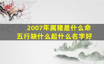 2007年属猪是什么命五行缺什么起什么名字好