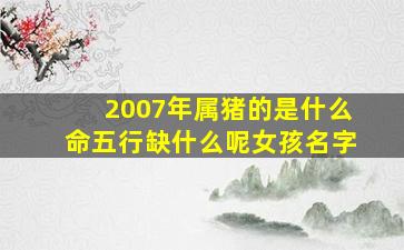 2007年属猪的是什么命五行缺什么呢女孩名字