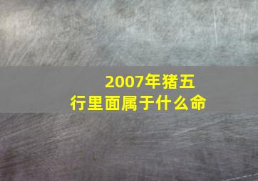 2007年猪五行里面属于什么命