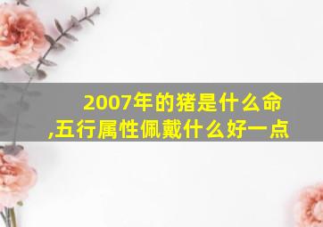 2007年的猪是什么命,五行属性佩戴什么好一点