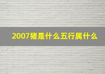 2007猪是什么五行属什么