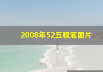 2008年52五粮液图片