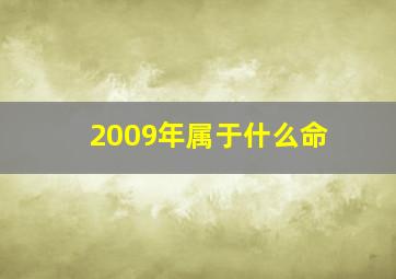 2009年属于什么命