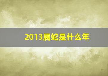 2013属蛇是什么年