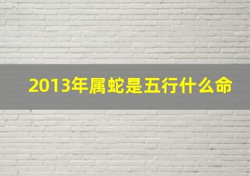 2013年属蛇是五行什么命