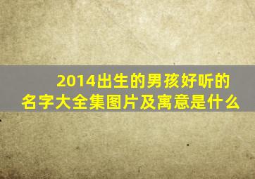 2014出生的男孩好听的名字大全集图片及寓意是什么