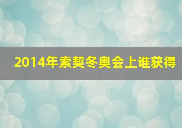 2014年索契冬奥会上谁获得