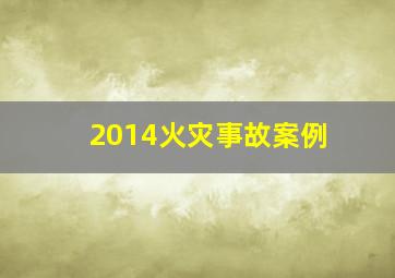 2014火灾事故案例