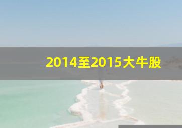 2014至2015大牛股