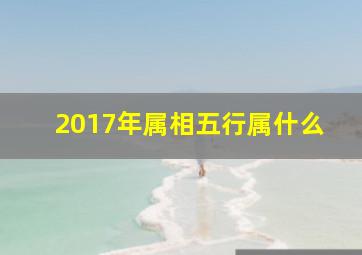 2017年属相五行属什么