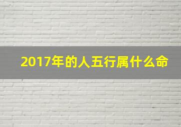 2017年的人五行属什么命