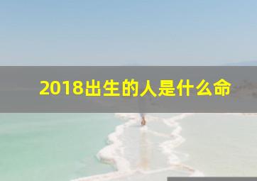 2018出生的人是什么命