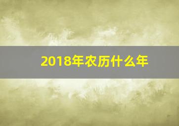 2018年农历什么年