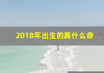 2018年出生的属什么命