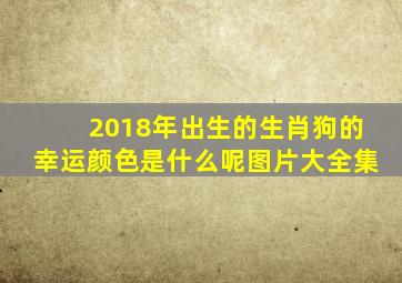 2018年出生的生肖狗的幸运颜色是什么呢图片大全集