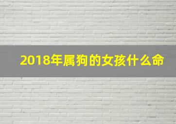 2018年属狗的女孩什么命