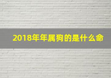 2018年年属狗的是什么命