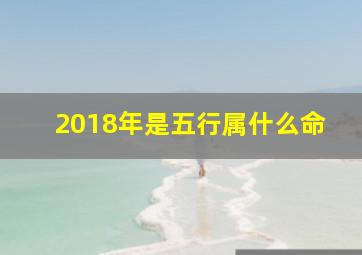 2018年是五行属什么命