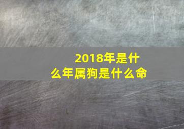 2018年是什么年属狗是什么命