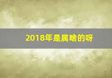 2018年是属啥的呀