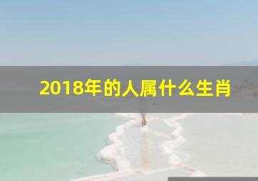 2018年的人属什么生肖