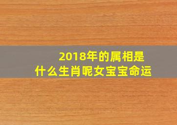 2018年的属相是什么生肖呢女宝宝命运