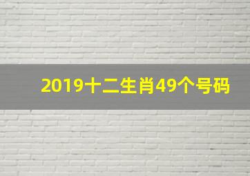 2019十二生肖49个号码