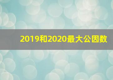 2019和2020最大公因数