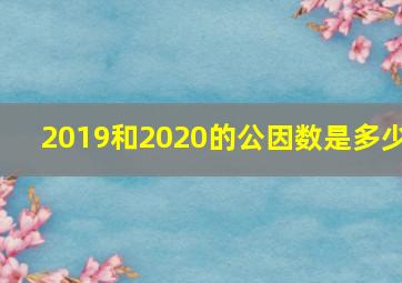 2019和2020的公因数是多少