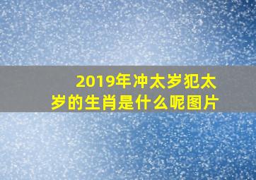 2019年冲太岁犯太岁的生肖是什么呢图片