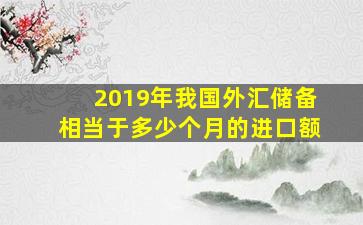 2019年我国外汇储备相当于多少个月的进口额